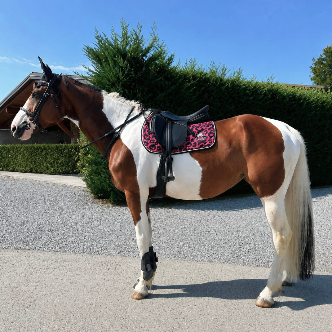 Sottosella Equeen | Icon